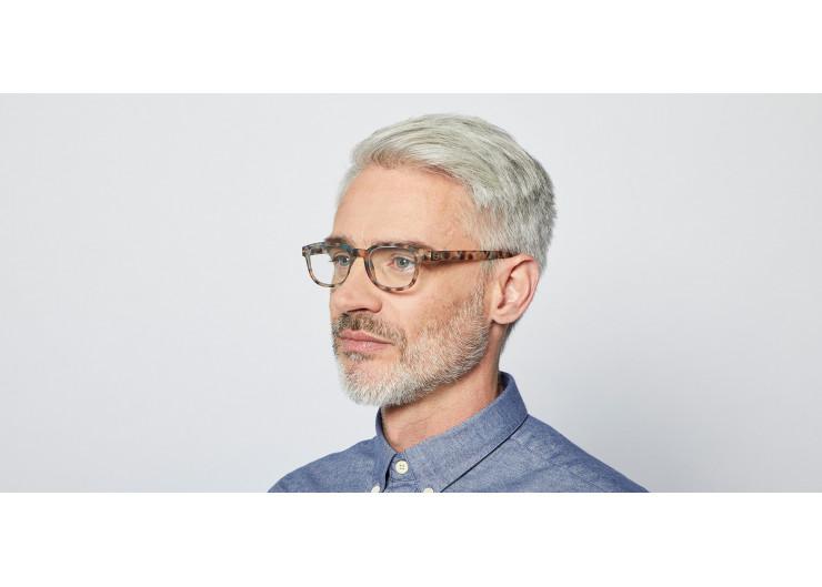 Reading Glasses #B Blue Tortoise