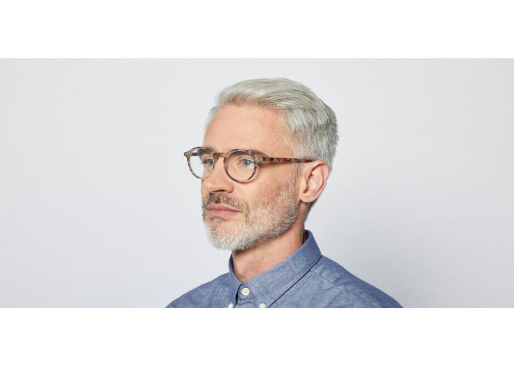 Reading Glasses #D Blue Tortoise