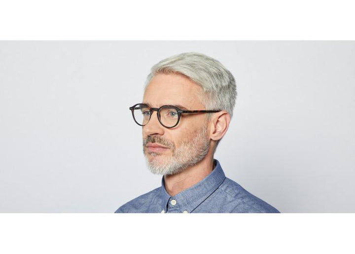 Reading Glasses #D Tortoise