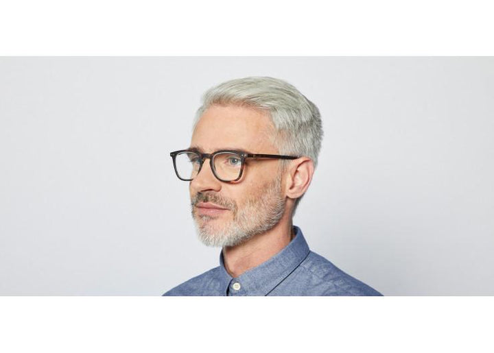 Reading Glasses #E Tortoise