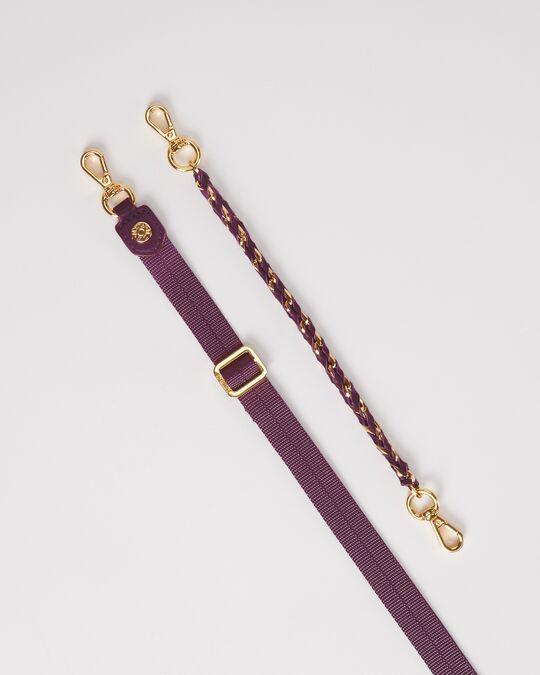 Micro Crosby in Wild Plum