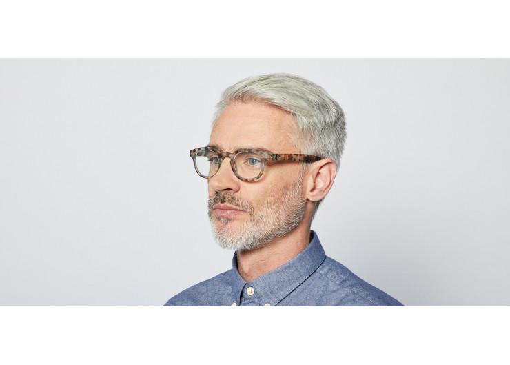 Reading Glasses #C Blue Tortoise